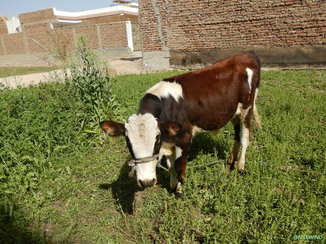 DSCN3769.jpg