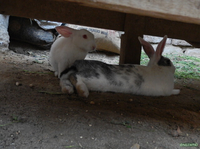 DSCN3775.jpg