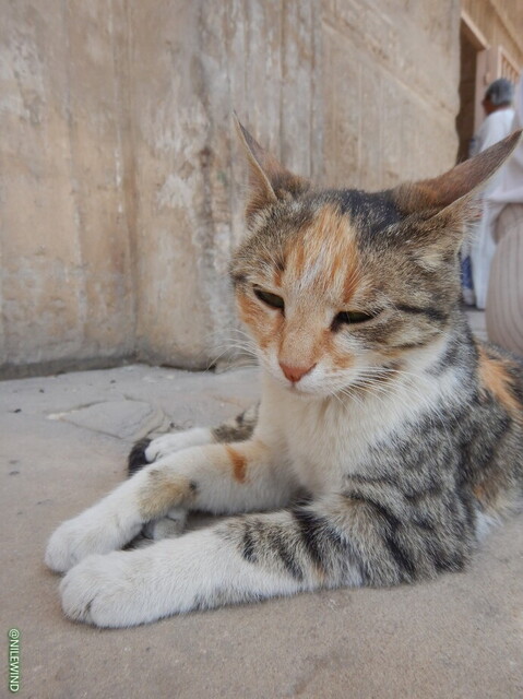 DSCN3826.jpg