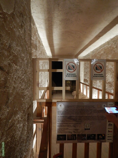 DSCN3929.jpg