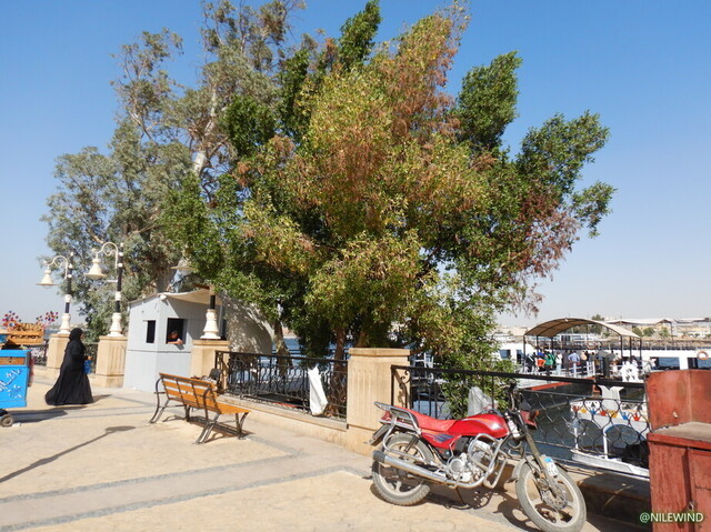 DSCN4057.jpg